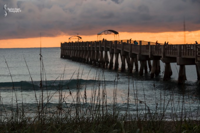 Lake Worth Pier/Sunrise: November 25, 2017: 7603