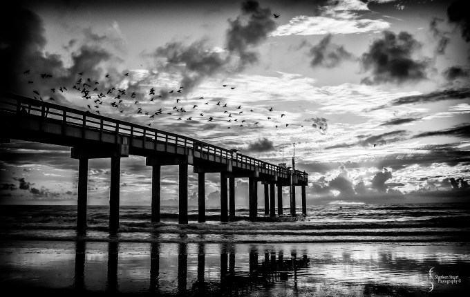 Anastasia State Park, St Augustine, September12, 2014 8770