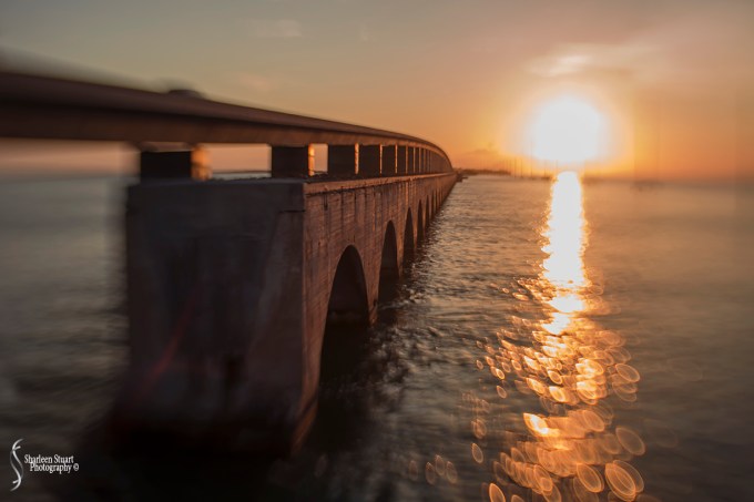 Long Key State Park: Marathon: May 20-23, 2016: 0290