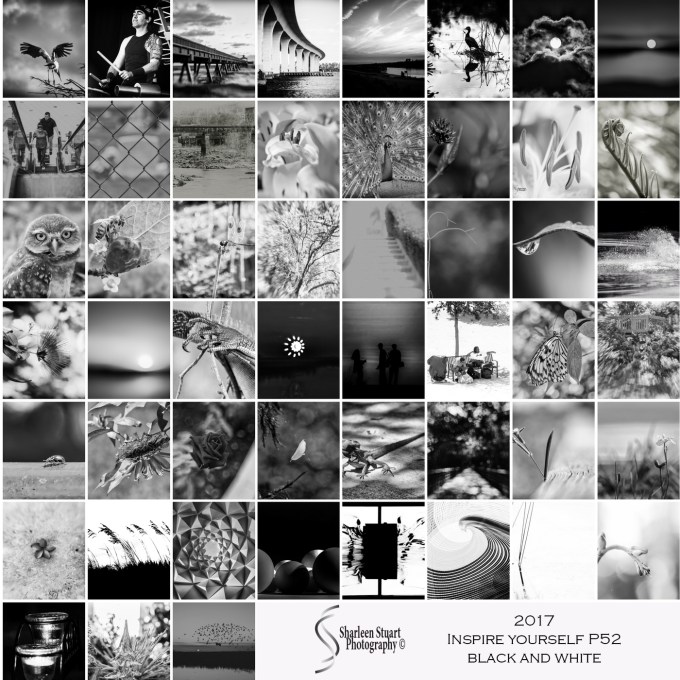 2017 P52 Inspire Yourself