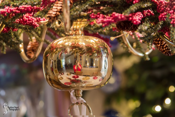 Festive Five:  December 18, 2017: 7755