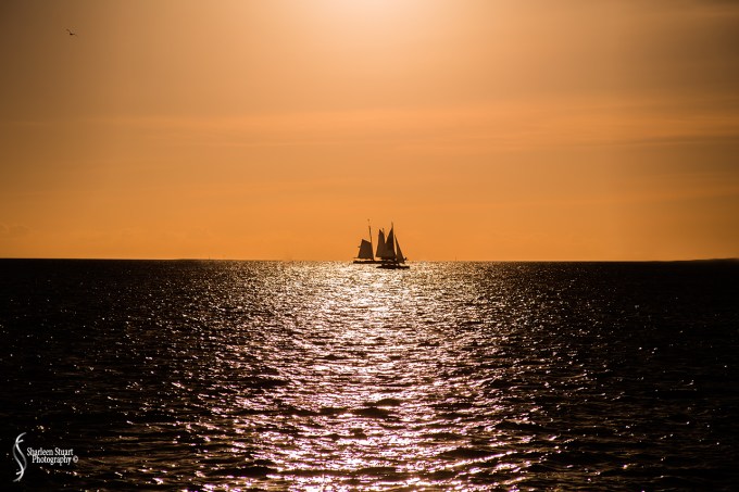 Key West Vacation:  January 7-8, 2018: 8899