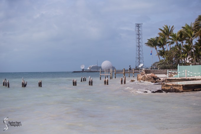 Key West Vacation:  January 7-8, 2018: 9094