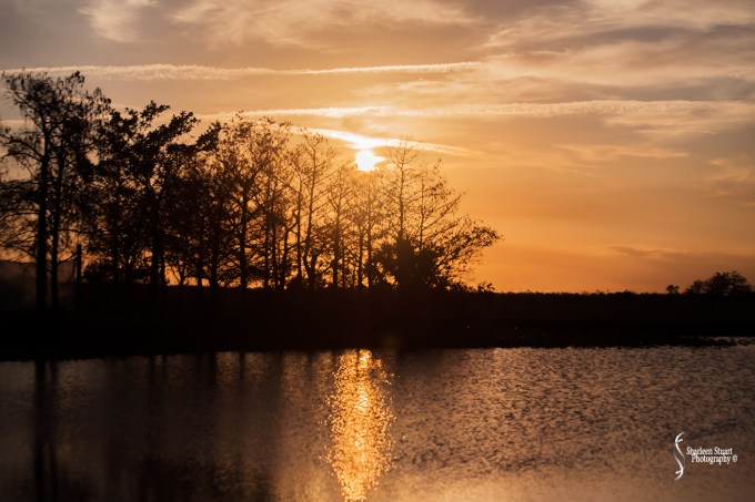 ARM Loxahatchee National Park: February 8, 2018: 0641