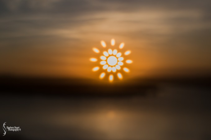 ARM Loxahatchee National Park: February 8, 2018: 0657