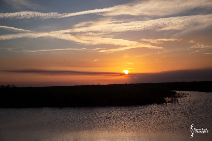 ARM Loxahatchee National Park: February 8, 2018: 0675