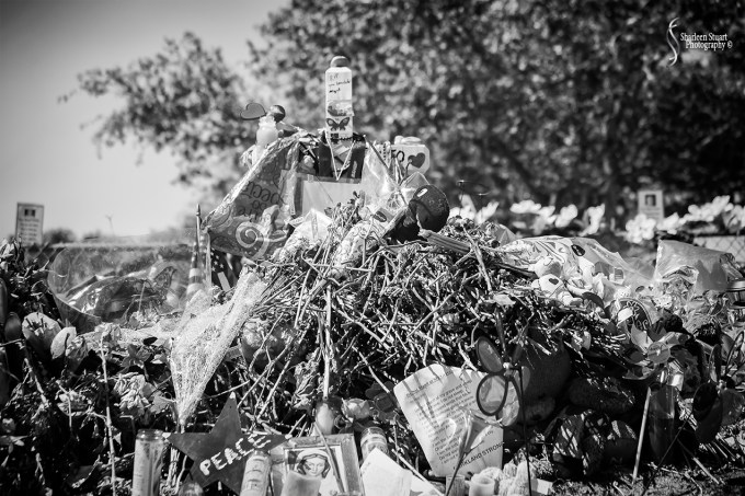 MSD High School Memorial:  March 9, 2018: 2154