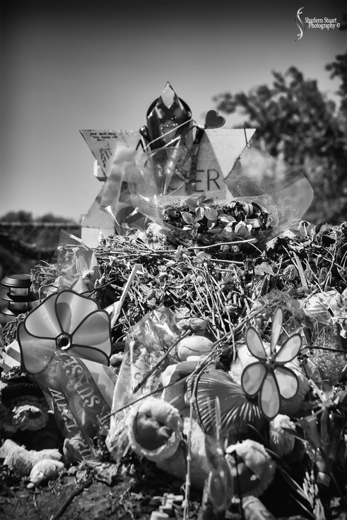 MSD High School Memorial:  March 9, 2018: 2157