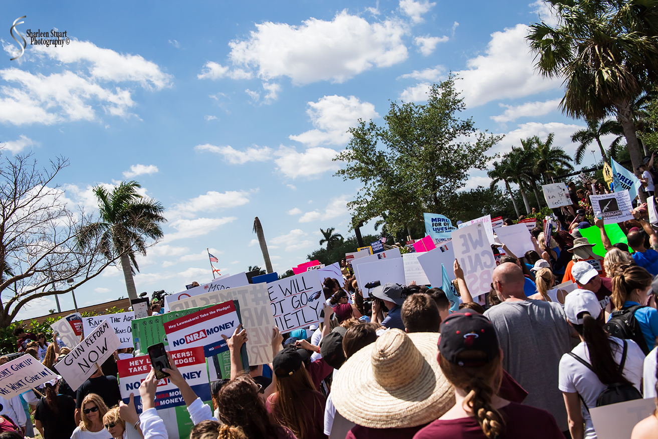 MSD High School Walk for our Lives:  March 24, 2018: 3045