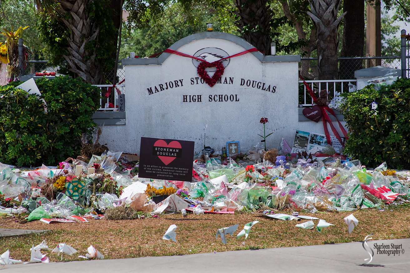 MSD High School Walk for our Lives:  March 24, 2018: 3084