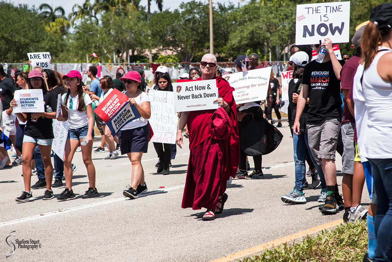 MSD High School Walk for our Lives:  March 24, 2018:  3107