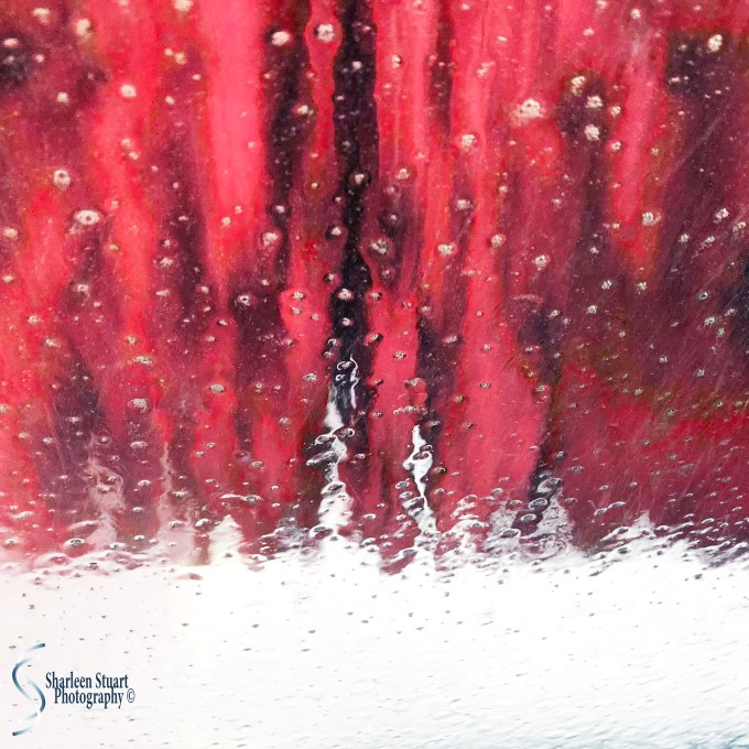 Car Wash: April 18, 2018: 9074