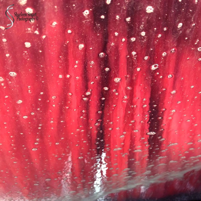 Car Wash: April 18, 2018: 9075