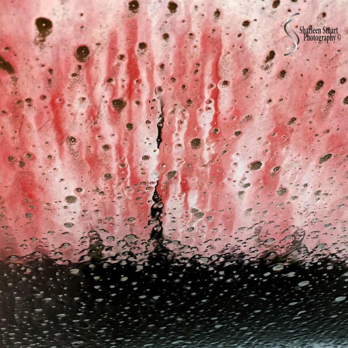 Car Wash: April 18, 2018: 9076