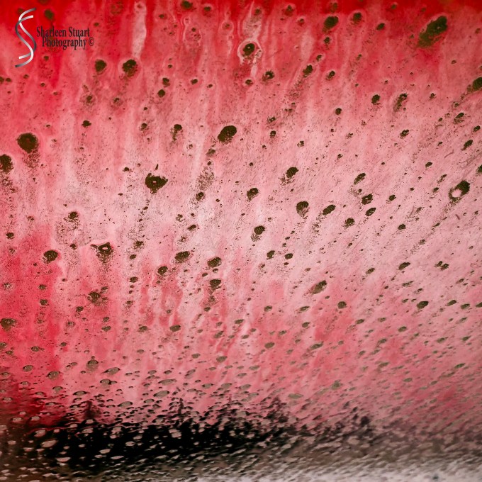 Car Wash: April 18, 2018: 9077