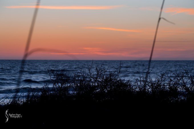 Gamble Rogers State Park: March 4-6, 2018: 3337