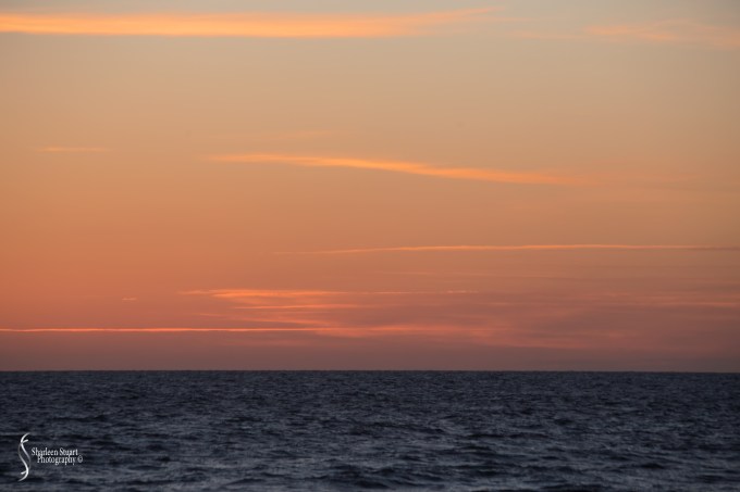 Gamble Rogers State Park: March 4-6, 2018: 3341