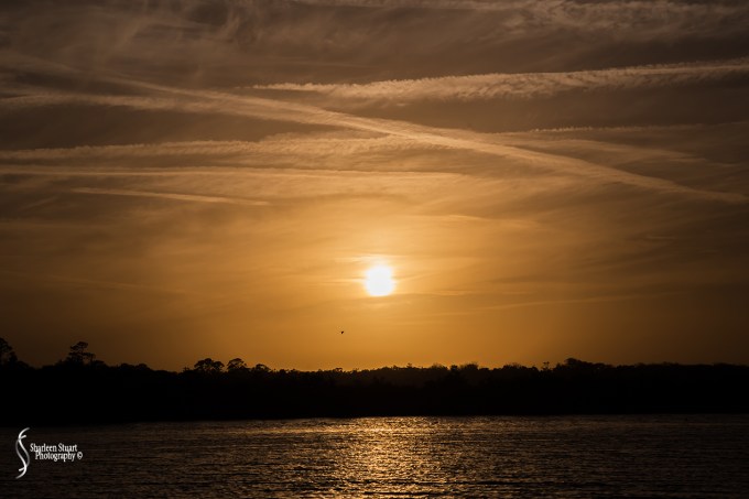 Gamble Rogers State Park: March 4-6, 2018: 3610