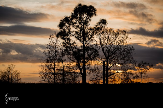 ARM Loxahatchee National Park: February 4, 2018: 0513