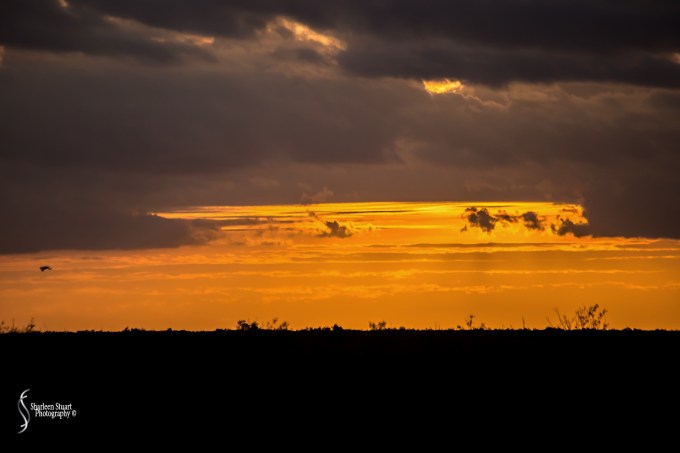 ARM Loxahatchee National Park: February 4, 2018: