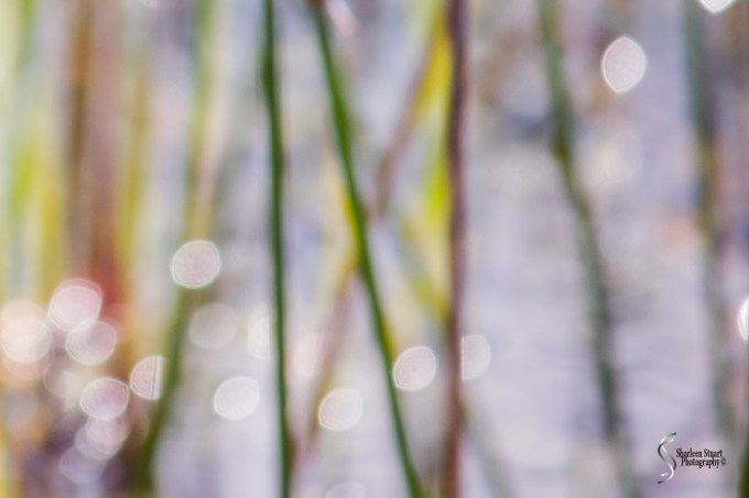 Abstract: October 20, 2014: 0882