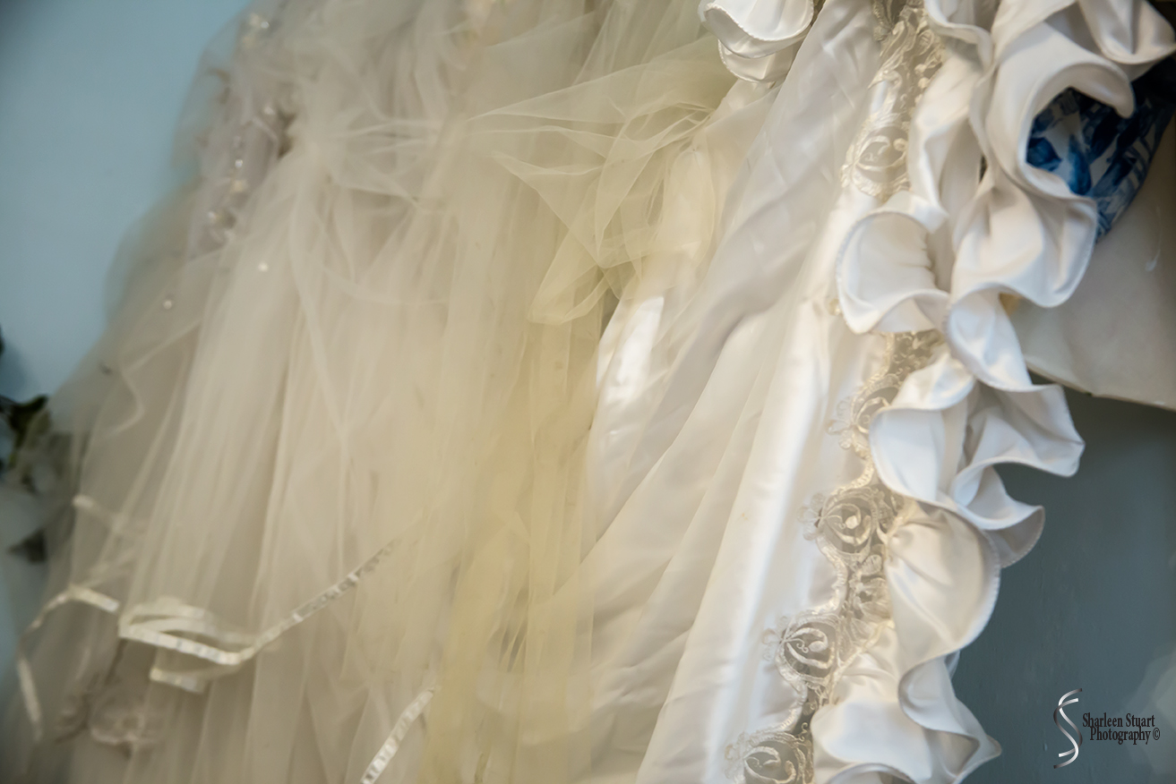 Serenity Tea House:  June 5, 2018: 5173