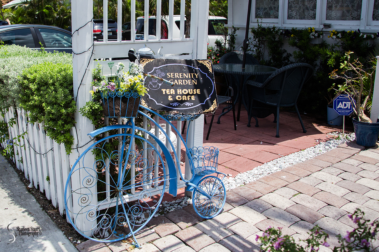 Serenity Tea House:  June 5, 2018: 5238