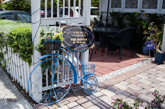 Serenity Tea House: June 5, 2018: 5238