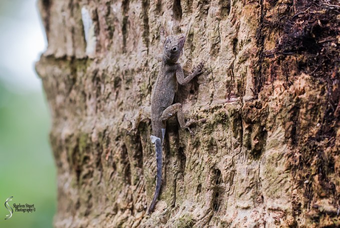 South County Park: June 10, 2018: 5346