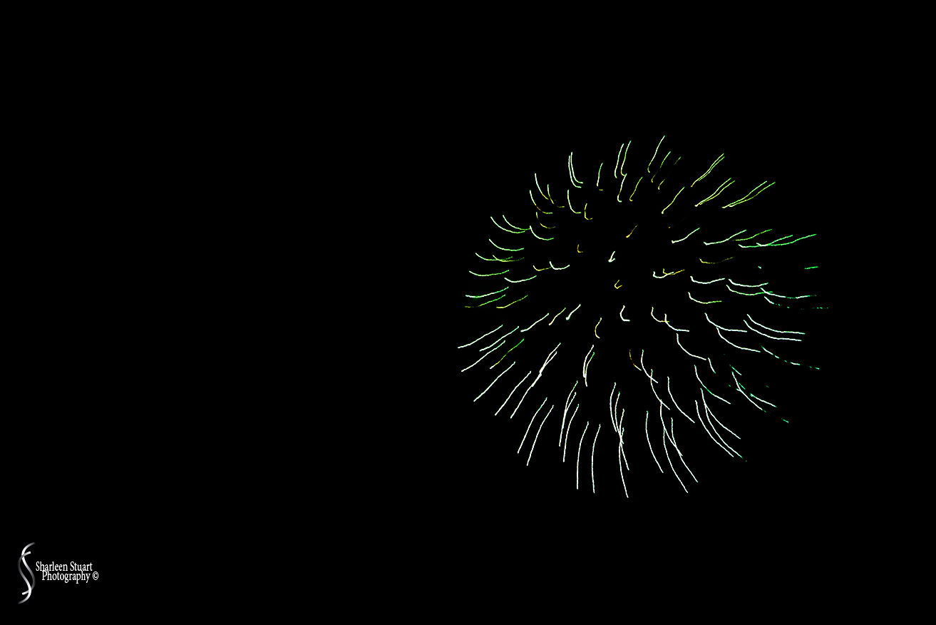 Out on the back canal: July 4, 2018: