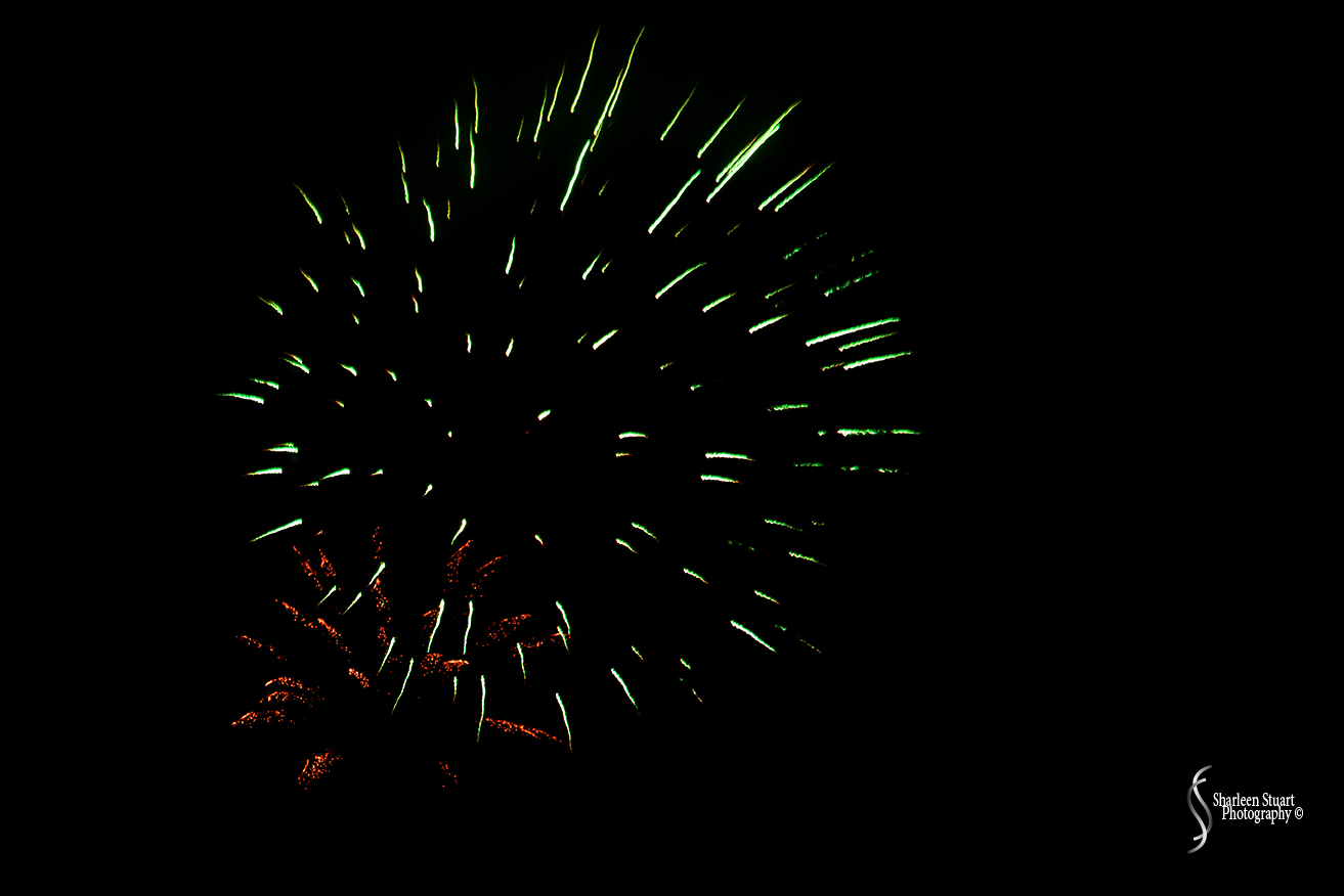 Out on the back canal: July 4, 2018: 7149