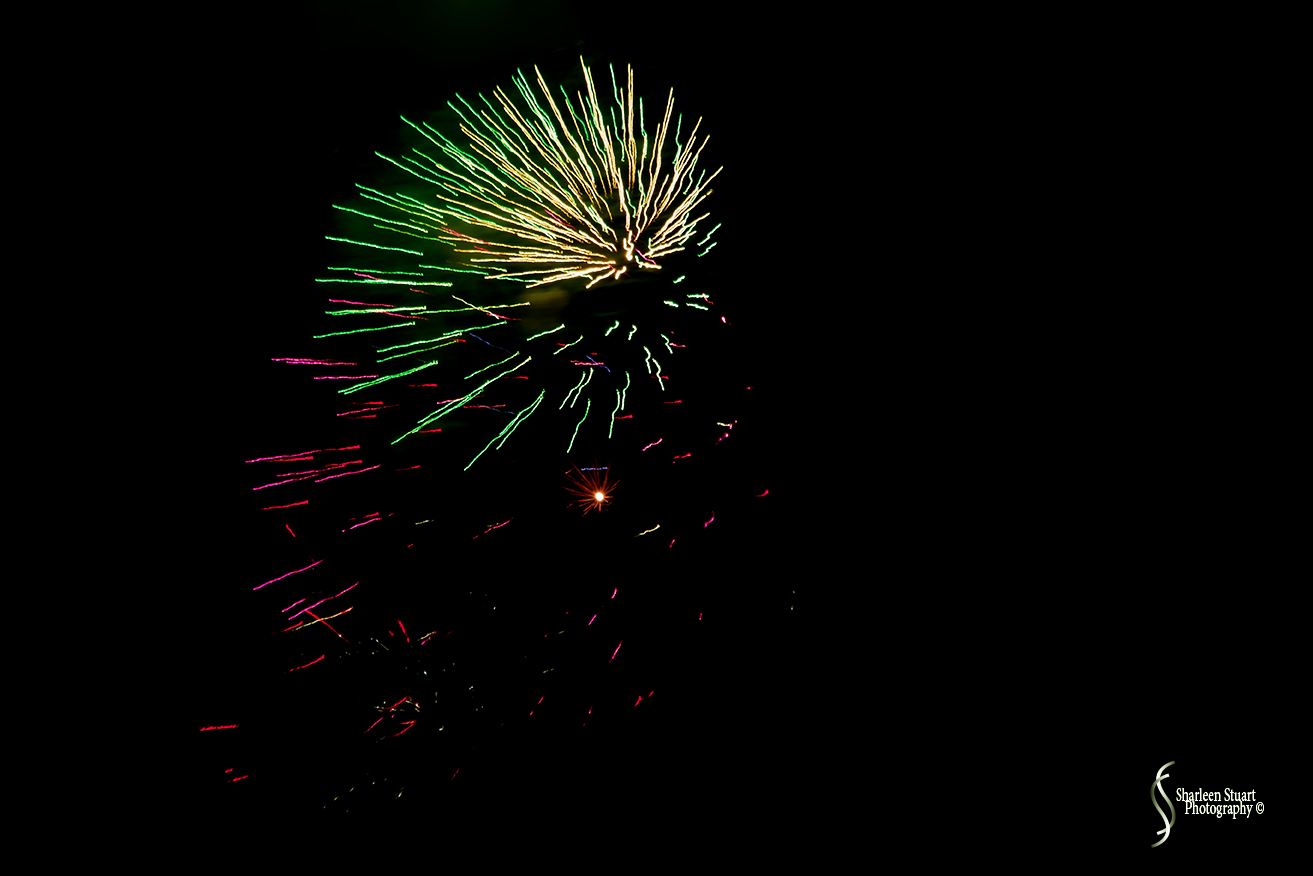 Out on the back canal: July 4, 2018: 7155