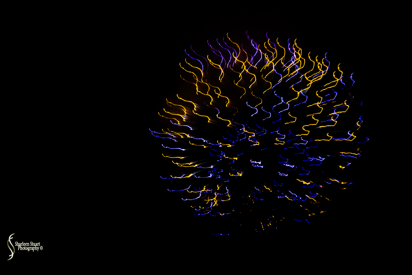 Out on the back canal: July 4, 2018: 7168