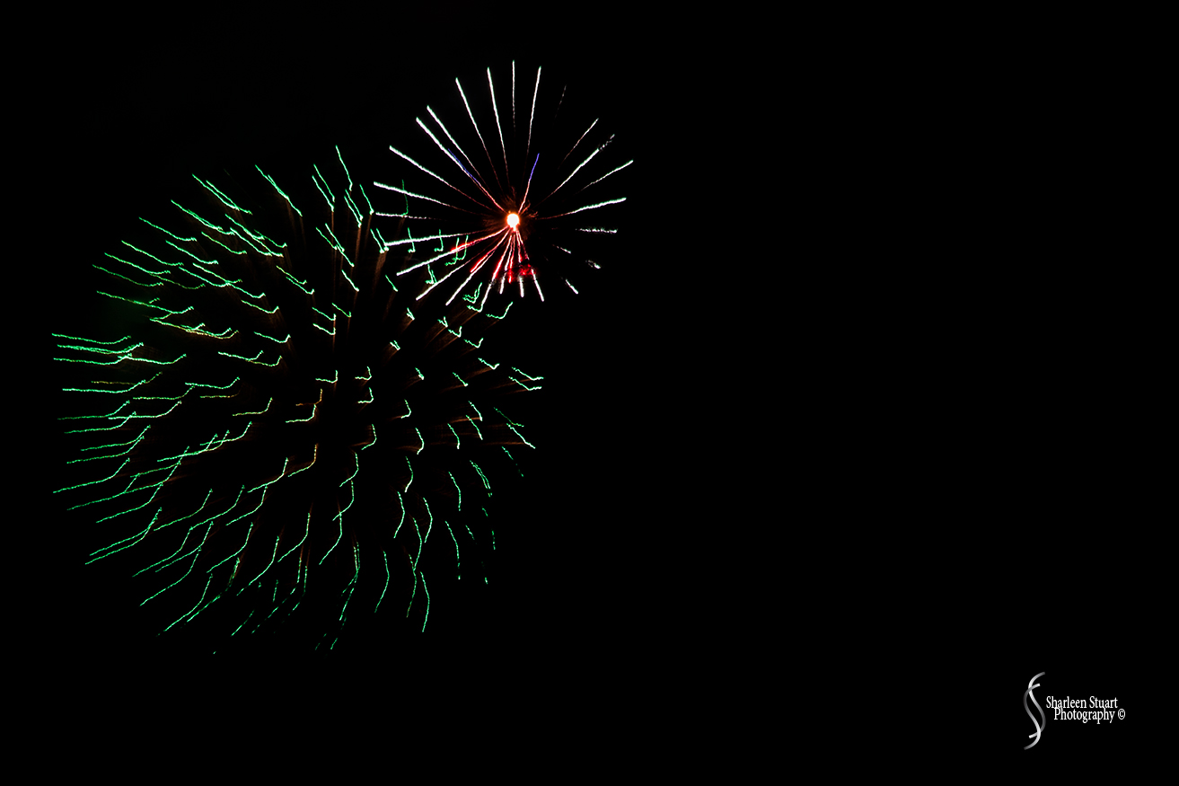 Out on the back canal: July 4, 2018: 7174