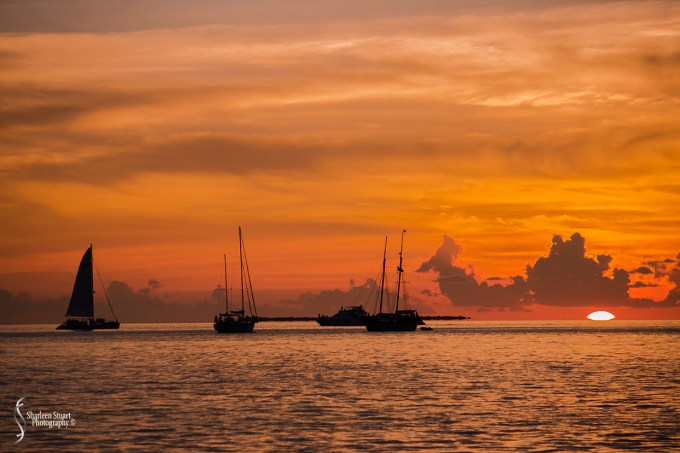 Key West Vacation: July 2015: 6607