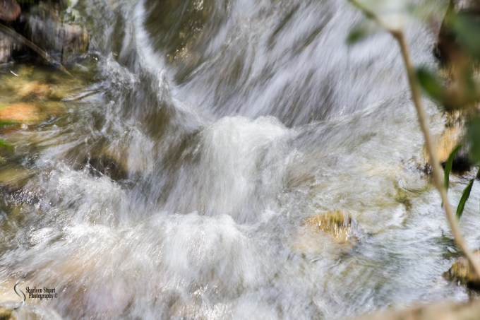 Morikami Japanes Gardens & Museum: August 10, 2018: 7916
