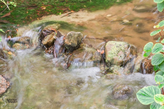 Morikami Japanes Gardens & Museum: August 10, 2018: 7922