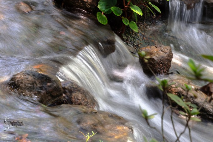 Morikami Japanes Gardens & Museum: August 10, 2018: 7927