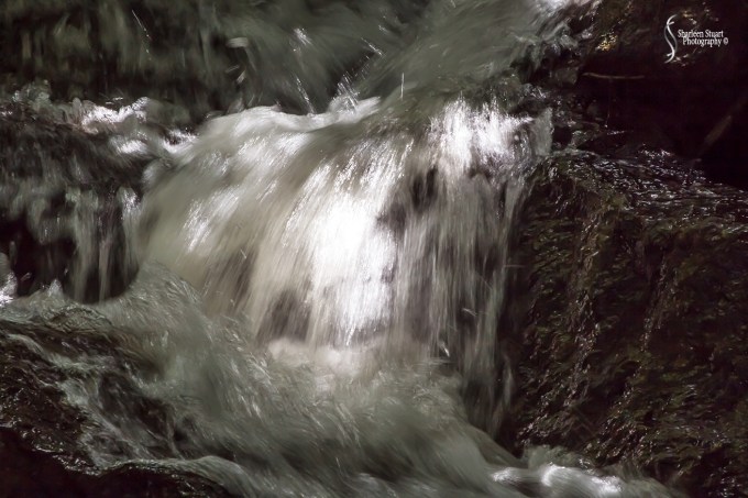 Morikami Japanes Gardens & Museum: August 10, 2018: 7937