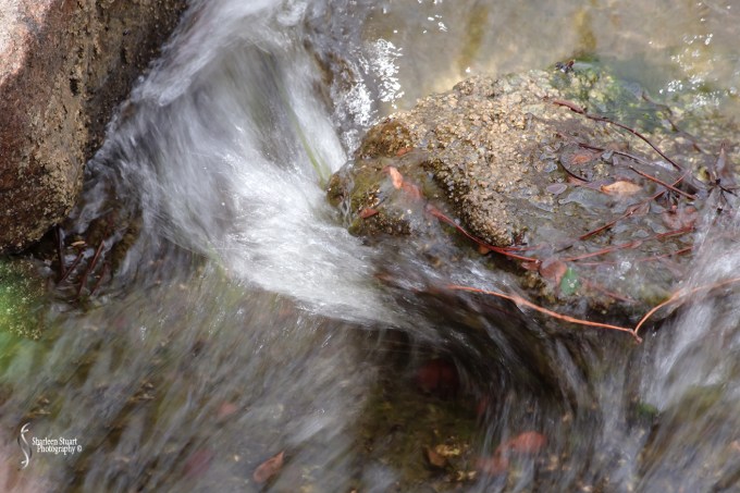 Morikami Japanes Gardens & Museum: August 10, 2018: 80062