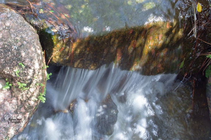 Morikami Japanes Gardens & Museum: August 10, 2018: 8073