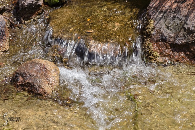Morikami Japanes Gardens & Museum: August 10, 2018: 8094