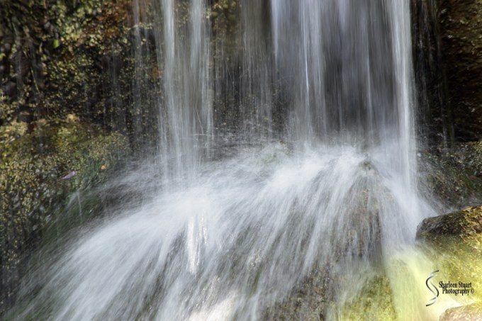 Morikami Japanes Gardens & Museum: August 10, 2018: 8111
