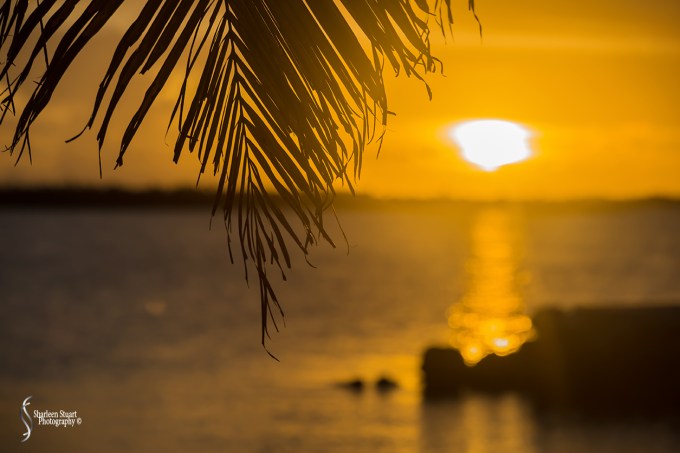 Marathon/Key West Vacation:  August 17-22, 2018: 8704