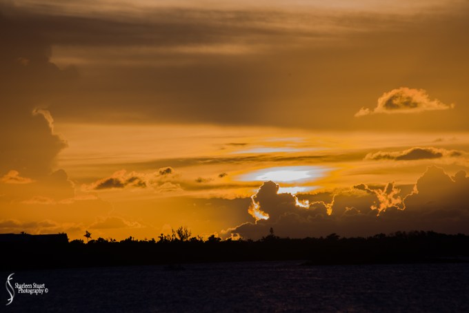 Marathon/Key West Vacation:  August 17-22, 2018: 8741