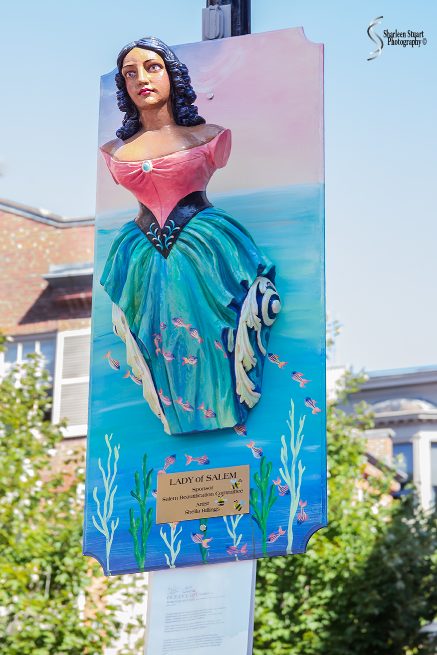 Maine, New Hampshire, Massachuttes: September 2018: 9383