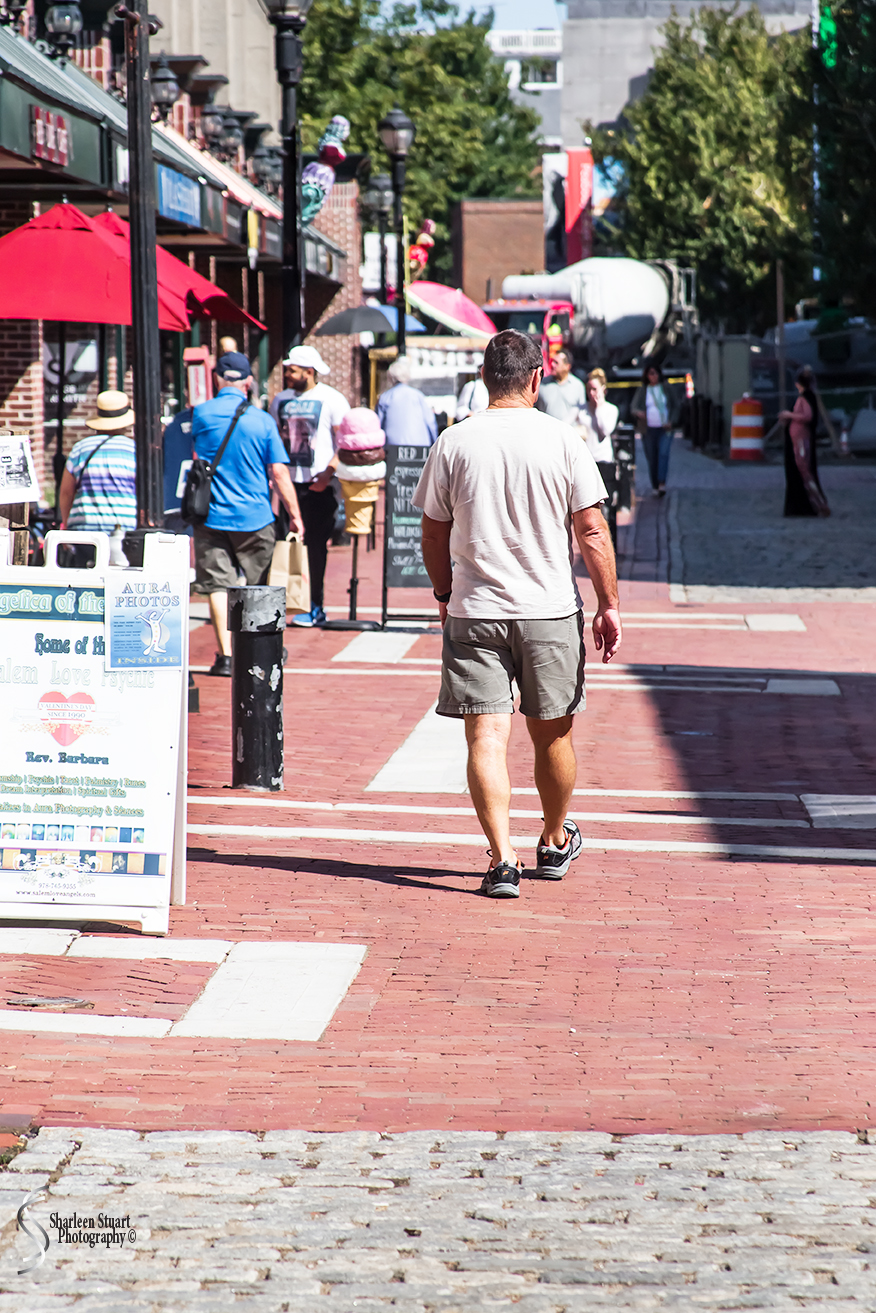 Maine, New Hampshire, Massachuttes: September 2018: 9389