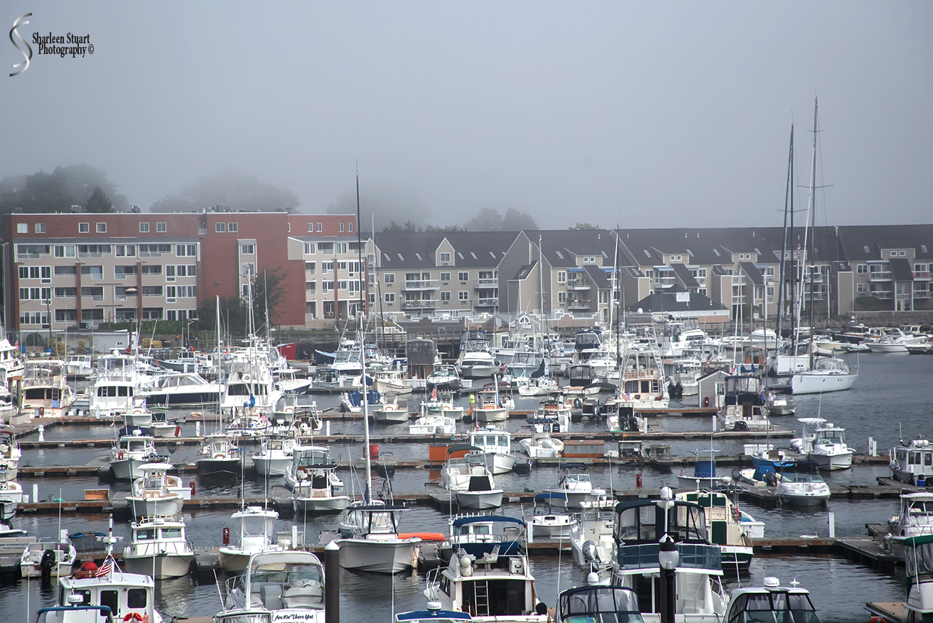 Maine, New Hampshire, Massachuttes:  September 2018: 9407