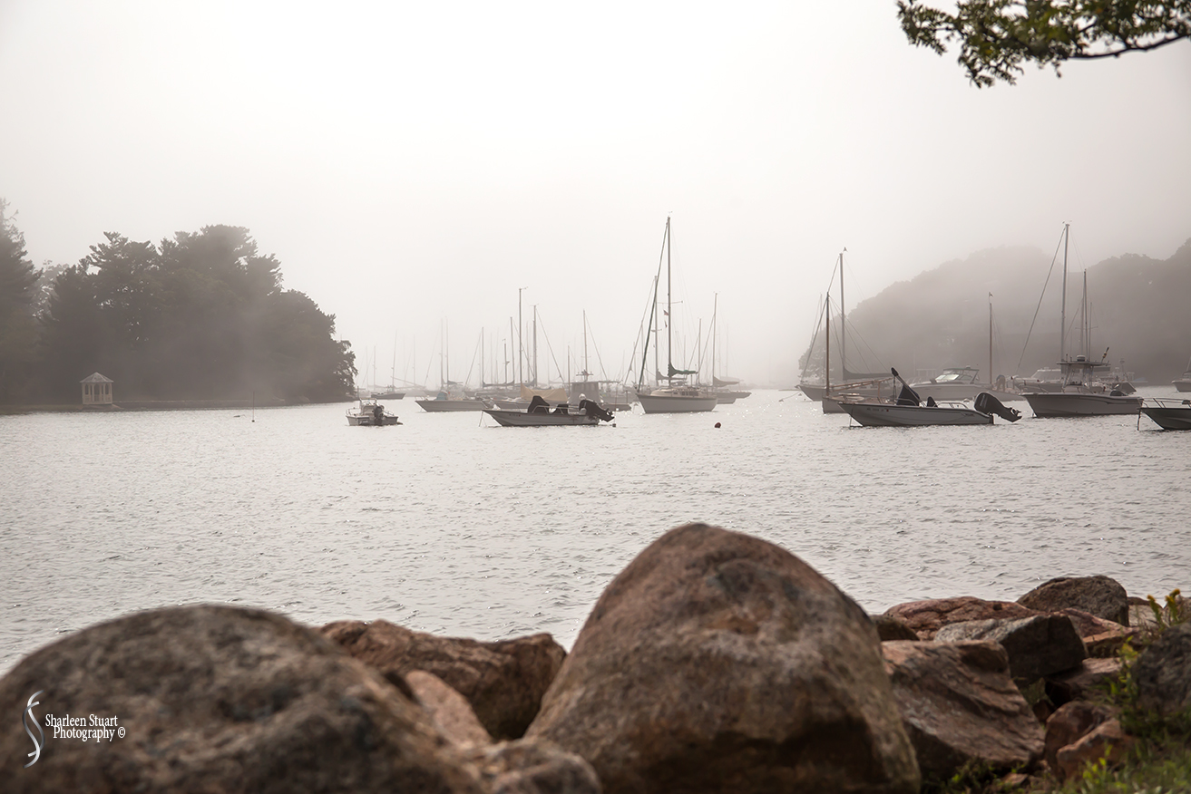 Maine, New Hampshire, Massachuttes:  September 2018: 9426