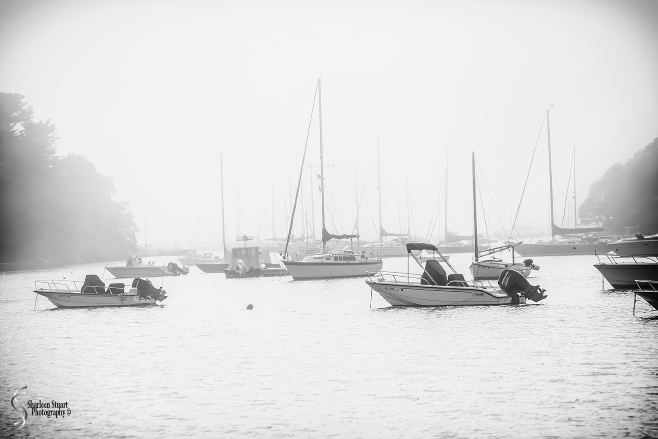 Maine, New Hampshire, Massachuttes:  September 2018: 9428